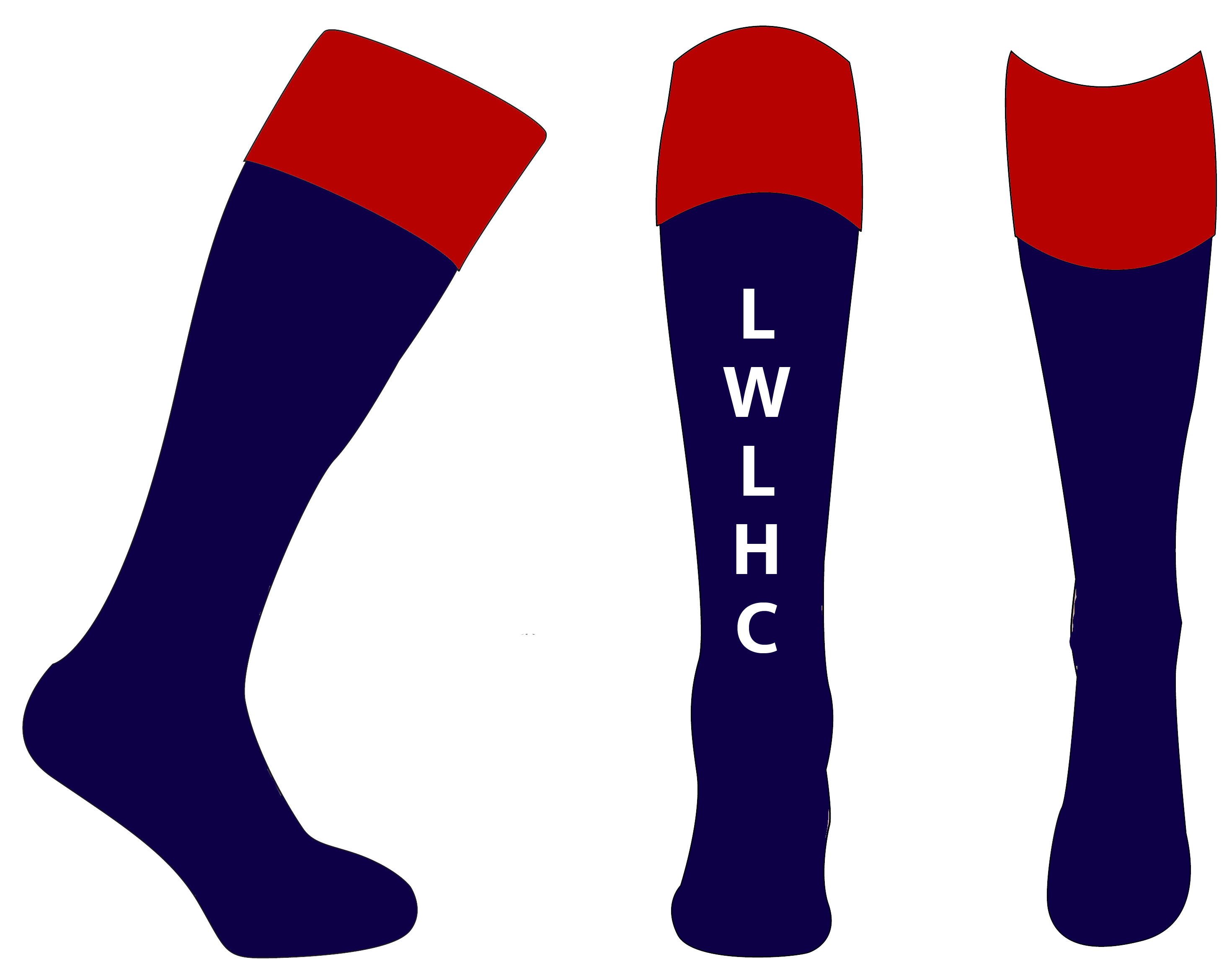 LWLHC Socks